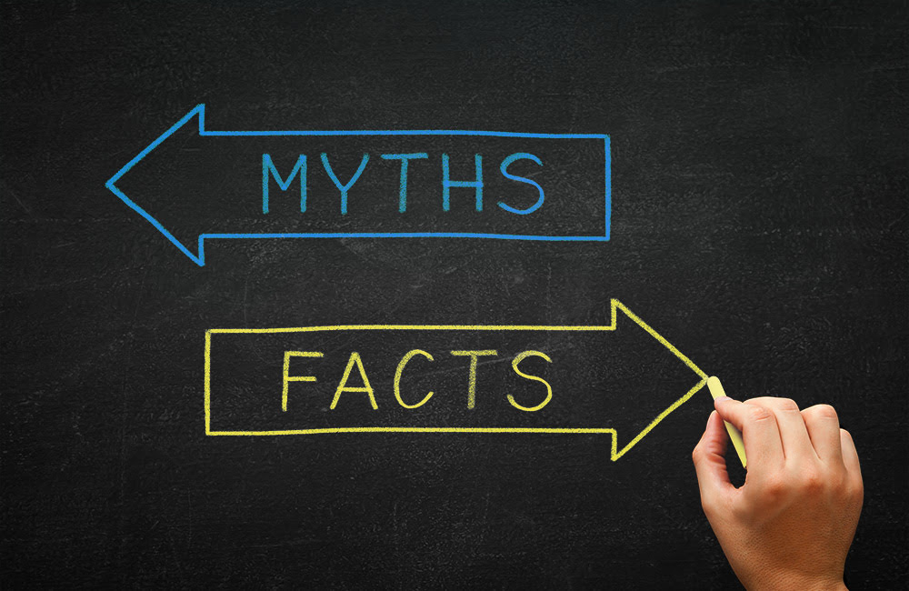 chalkboard highlighting myths and facts