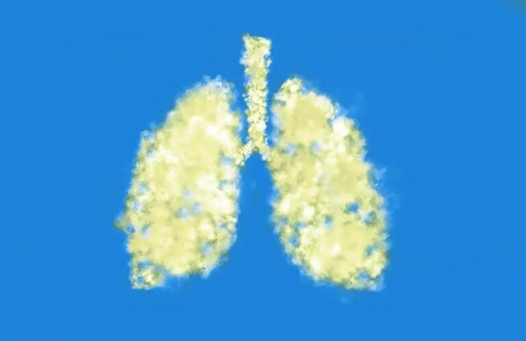 Lungs